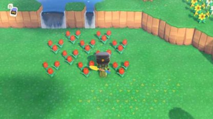 Animal Crossing New Horizons | Flower Breeding Guide - How To Get