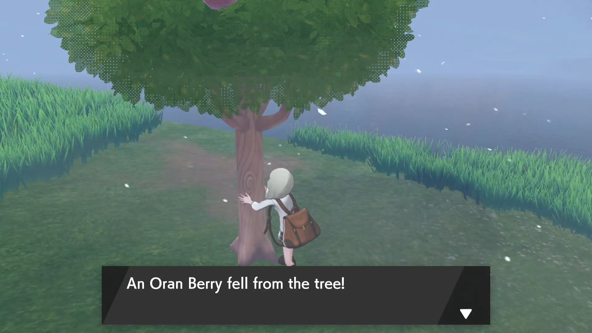 Oran Berry How To Get Pokemon Sword Shield GameWith
