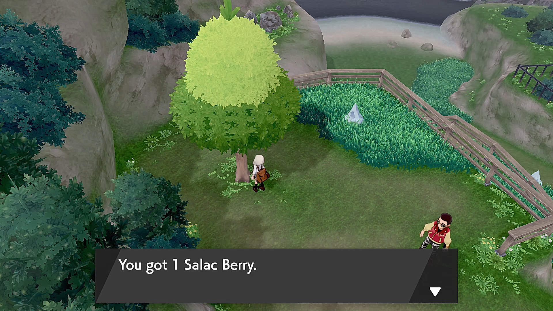 Salac Berry How To Get Pokemon Sword Shield GameWith