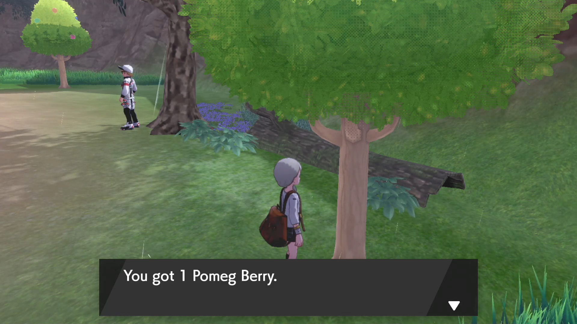 Pomeg Berry How To Get Pokemon Sword Shield GameWith