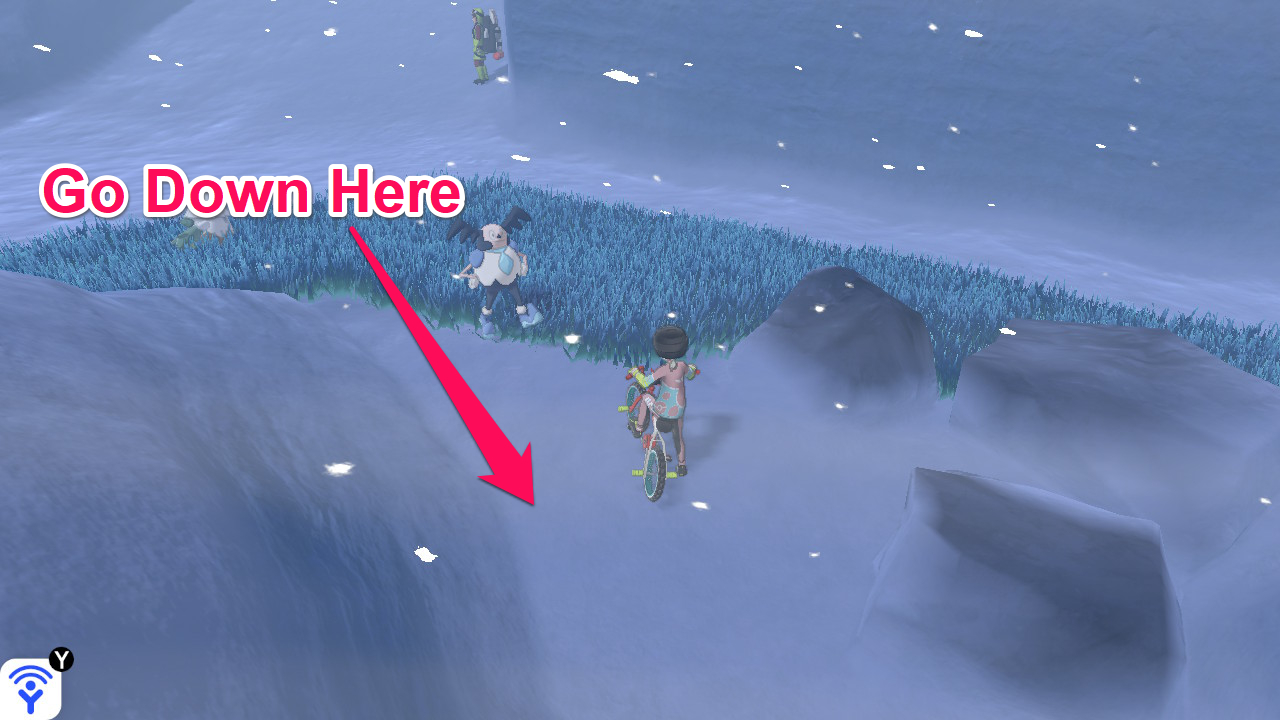 Power Herb How to Get & Location Pokemon Sword Shield GameWith