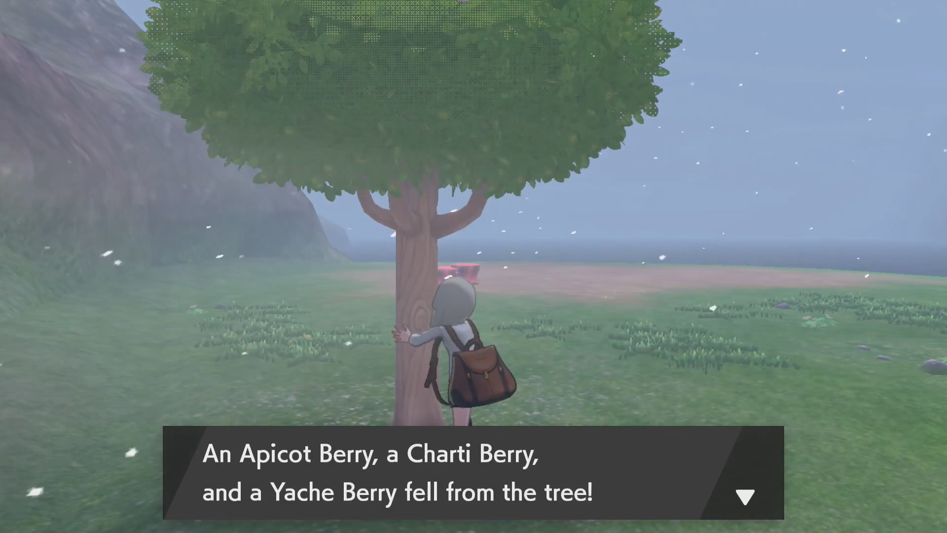 Charti Berry How To Get Pokemon Sword Shield GameWith