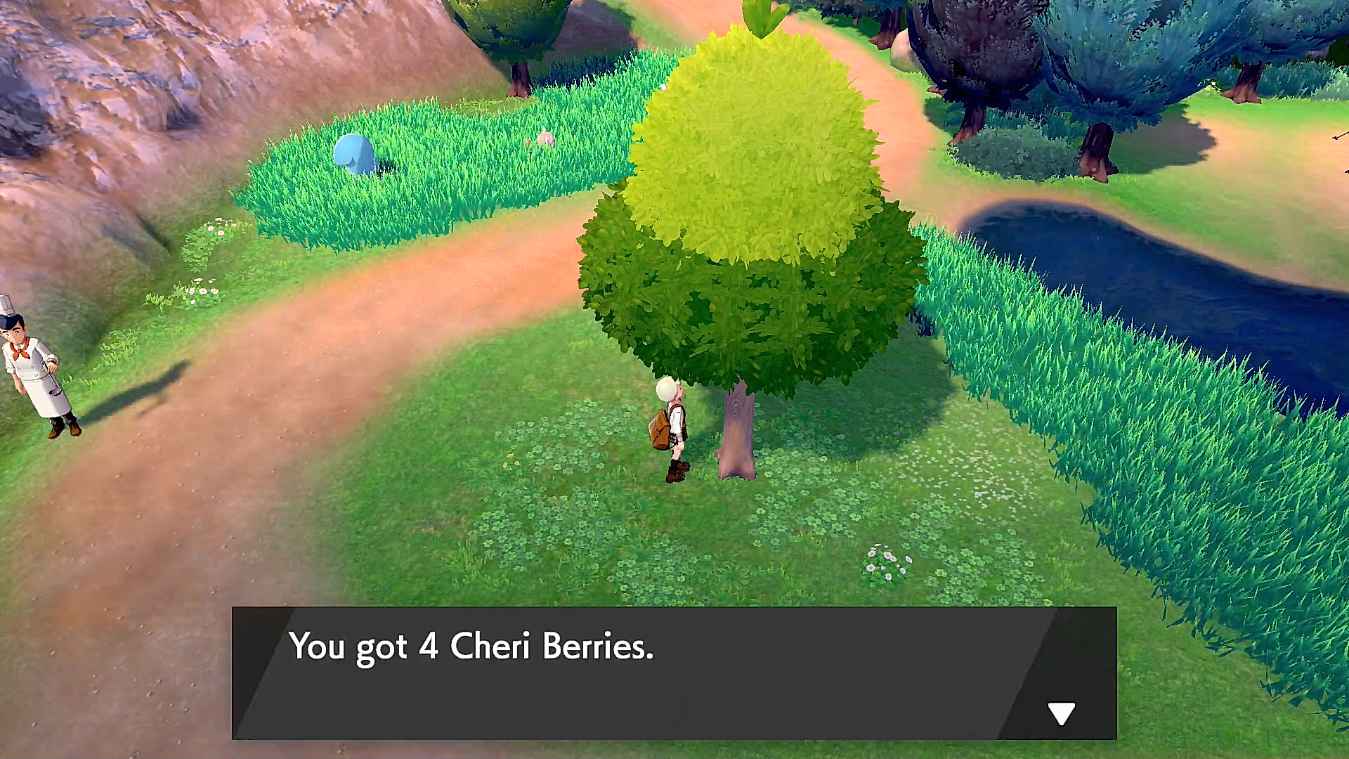 Cheri Berry How To Get Pokemon Sword Shield GameWith
