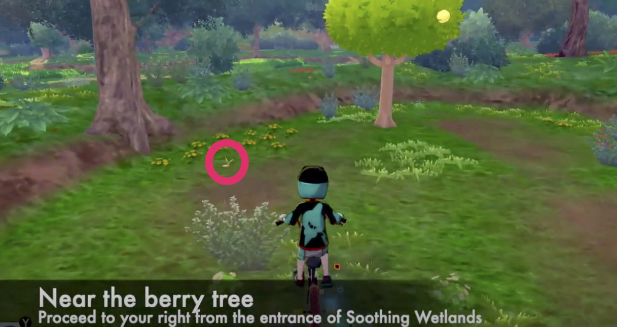 Isle Of Armor Forest of Focus (Wild Area) Pokemon Spawn Location